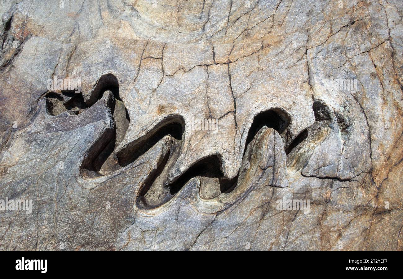 Formazione rocciosa metamorfica. Erosione selettiva scolpita nella roccia. Aspetti geologici delle Alpi Zillertal. Tirolo. Austria. Europa. Foto Stock
