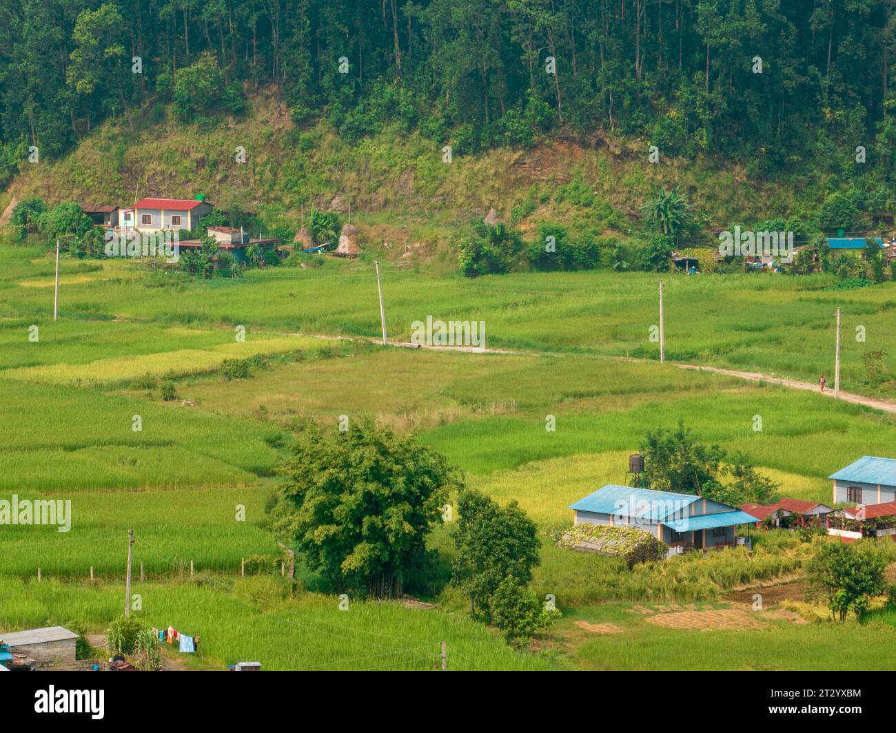 Vista aerea di un paesaggio rurale nepalese vicino al lago Bagnes, campi di riso e case, lavori agricoli. Lekhnath, Pokhara. Nepal. 10-7-2023 Foto Stock