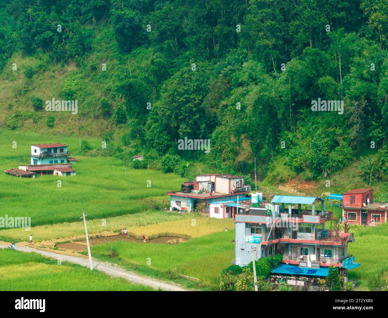 Vista aerea di un paesaggio rurale nepalese vicino al lago Bagnes, campi di riso e case, lavori agricoli. Lekhnath, Pokhara. Nepal. 10-7-2023 Foto Stock