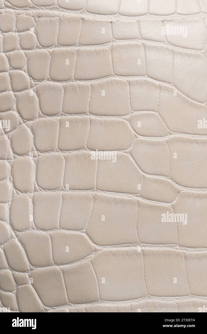 Vista ravvicinata macro della texture della pelle rettile di colore beige Foto Stock