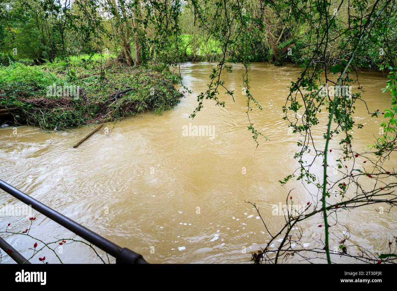 Piccolo fiume in piena dopo forti piogge a seguito di Storm Babet ha colpito il Regno Unito. Foto Stock