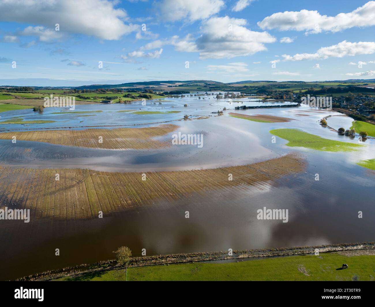 Il fiume Don fa scoppiare le sue sponde a Kintore Aberdeenshire, in Scozia. Tempesta Babet Foto Stock