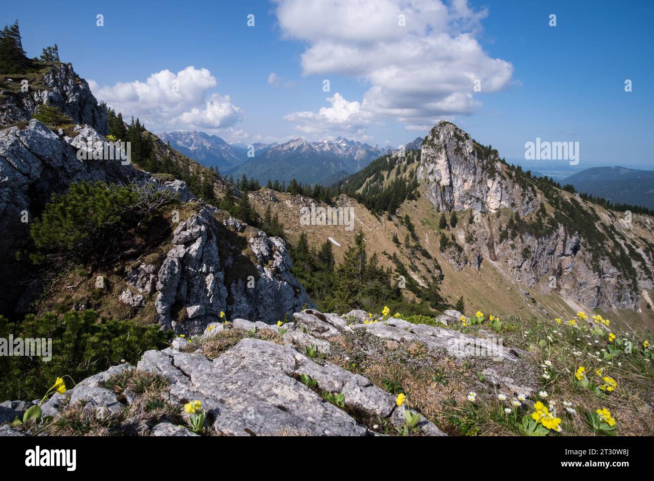 Blick zum Laubeneck im Ammergebirge Foto Stock