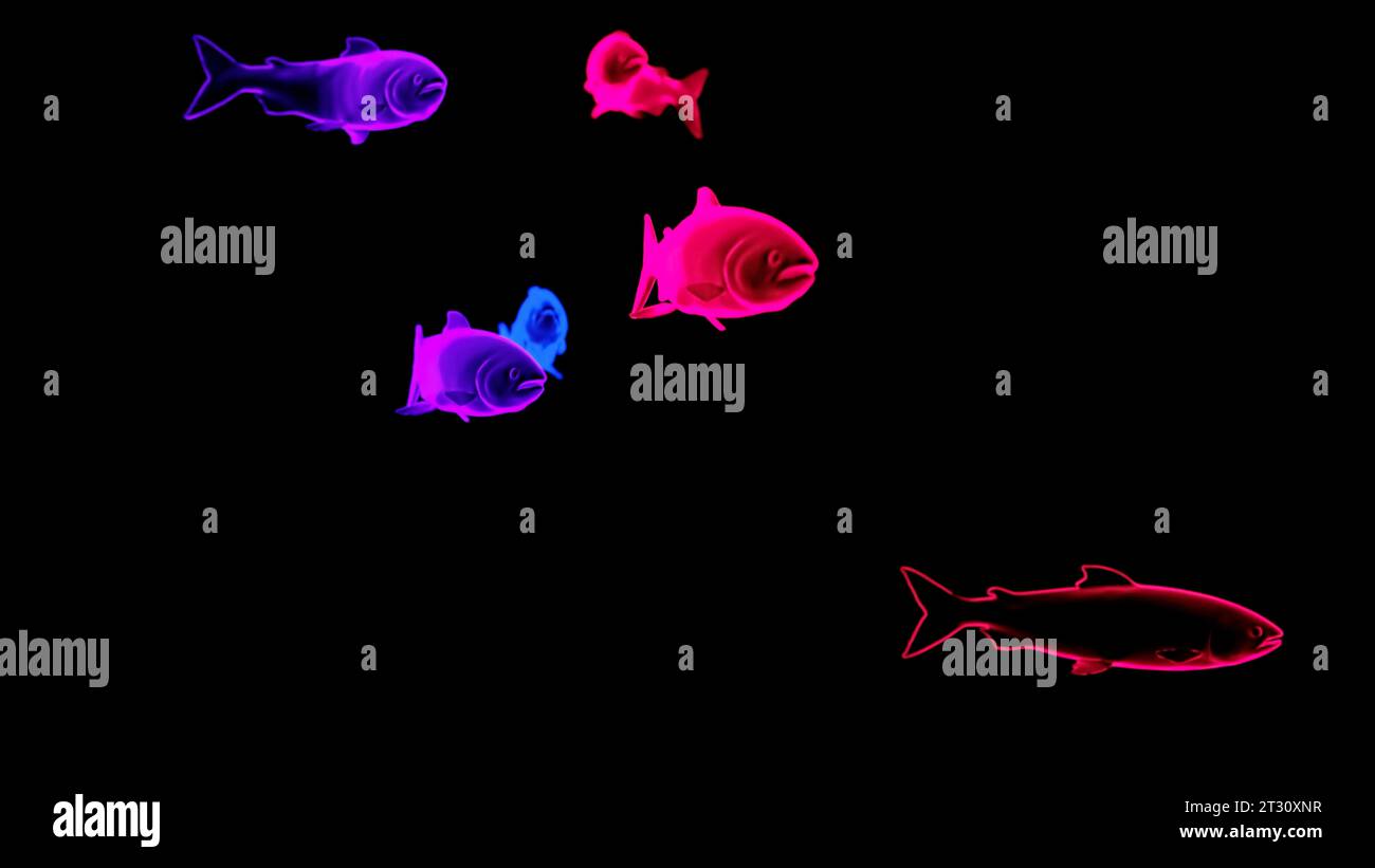 Silhouette astratte e fluide di pesci colorati isolati su sfondo nero Design. Creature marine ologrammi sott'acqua. Foto Stock