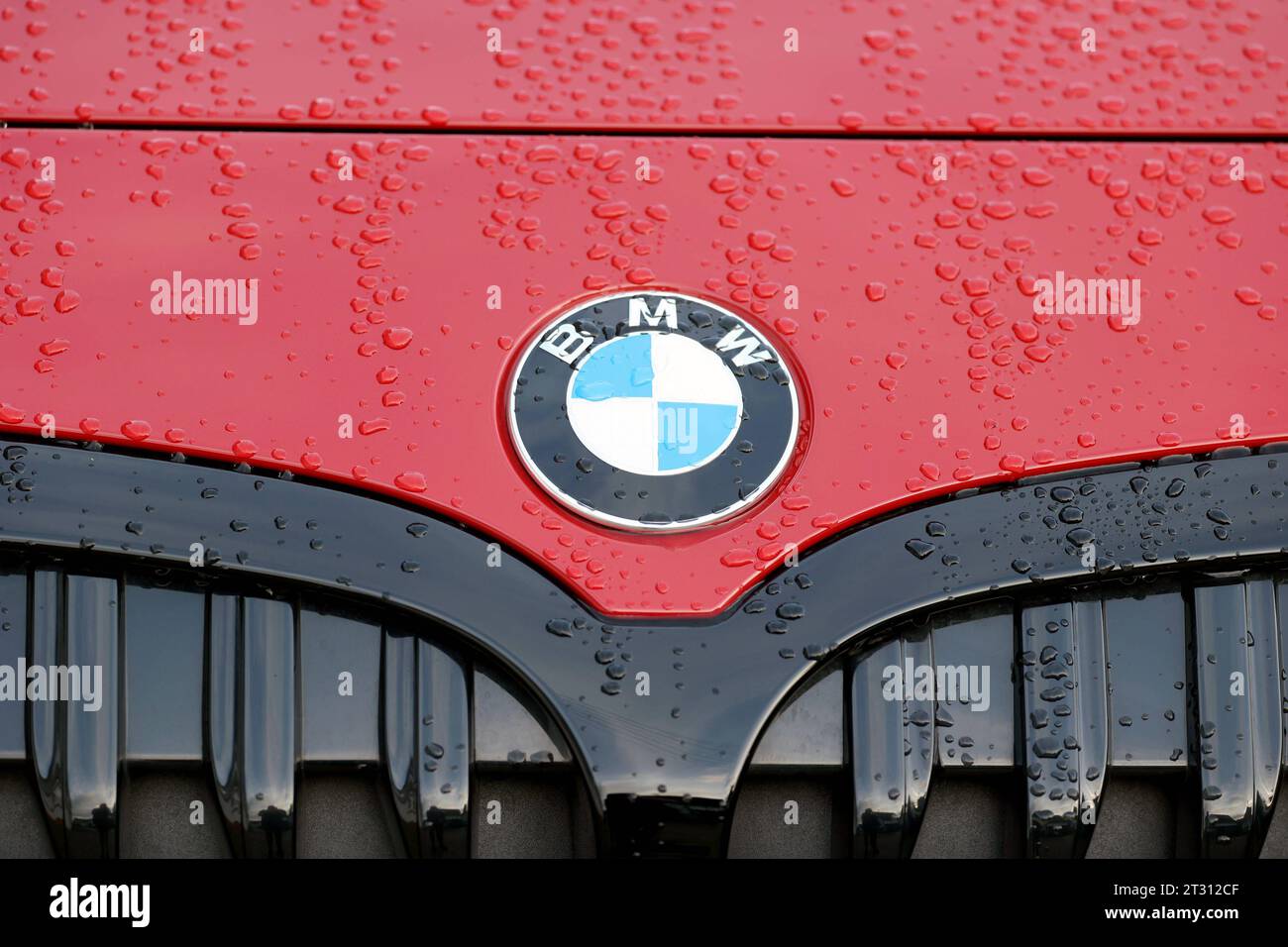 BMW Logo auf einem roten BMW Fahrzeug, Motorhaube. Auf dem lack sind Wassertropfen. BMW AM 22.10.2023 a Siegen/Deutschland. *** Logo BMW su una vettura BMW rossa, cofano sulla vernice sono gocce d'acqua BMW su 22 10 2023 a Siegen Germania credito: Imago/Alamy Live News Foto Stock