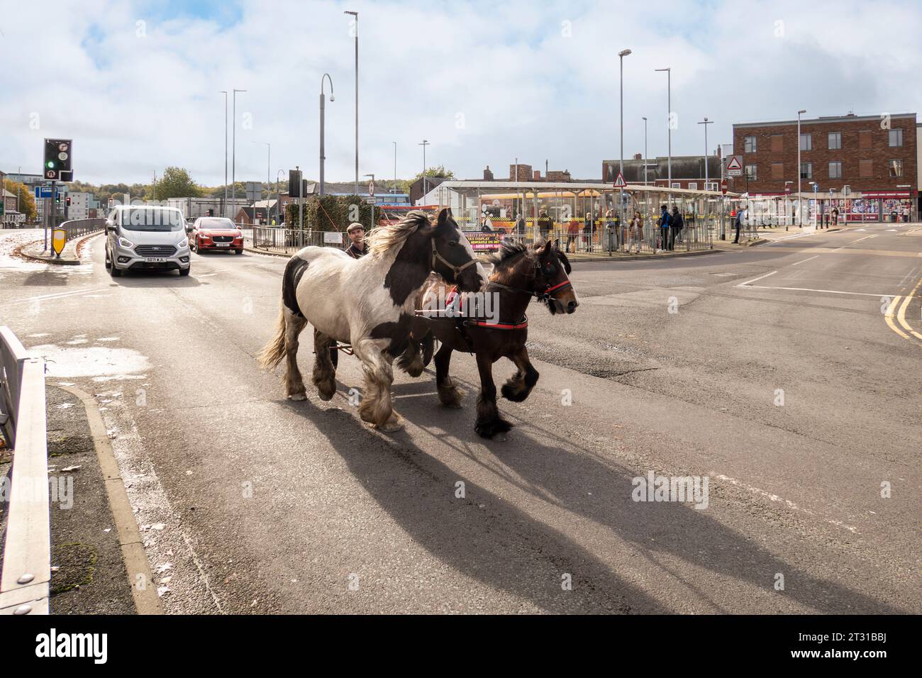 Newcastle-under-Lyme, Staffordshire-regno unito ottobre, 20, 2023 cavalli e trappole che viaggiano lungo una strada trafficata appartenente a Gypsies, Romany's,'Travel Foto Stock