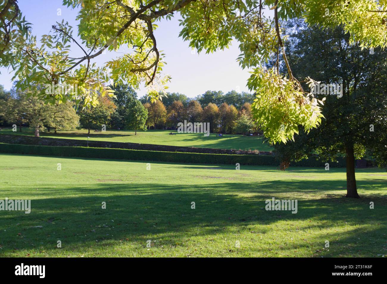 Vista del Lower Castle Park a Colchester, Essex, mentre gli alberi iniziano a cambiare colore in autunno. Le mura romane sono visibili dall'altra parte del centro. Foto Stock