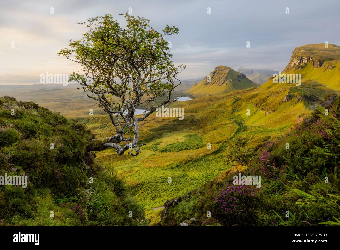 Il Quiraing, Isola di Skye, in Scozia, è un altopiano frana, formato da una serie di frane milioni di anni fa. Foto Stock