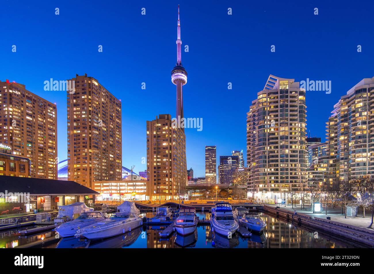 Toronto Harbourfront e CN Tower di notte nel centro di Toronto Foto Stock