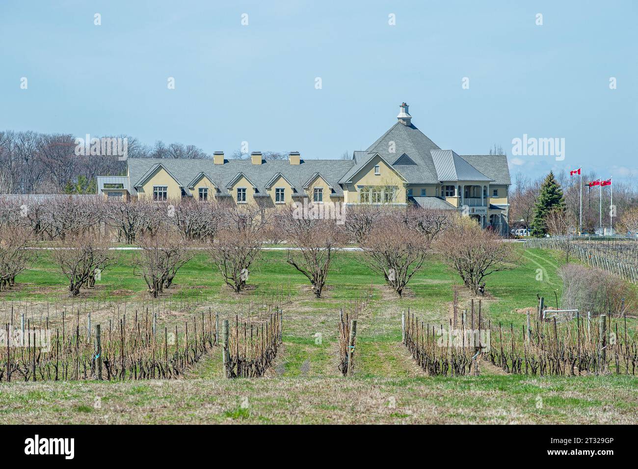 Vigneto e frutteto presso la Peller Estates Winery in primavera a Niagara on the Lake in Ontario, Canada Foto Stock