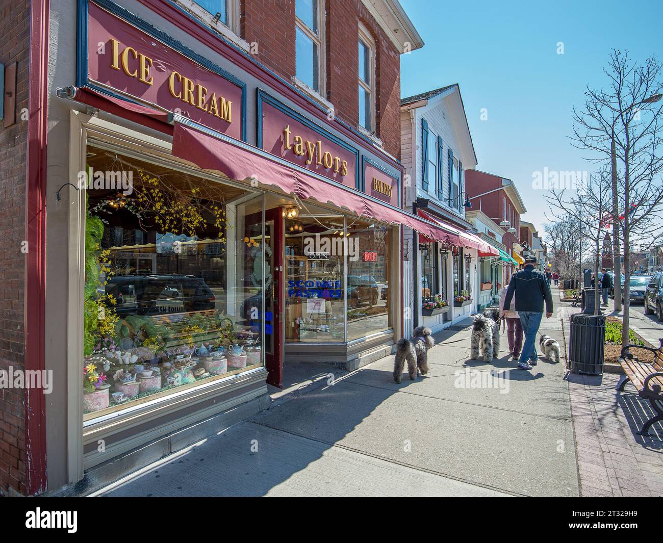 Passeggiata in cane nella storica città di Niagara on the Lake alla fine di aprile, Ontario, Canada. Foto Stock