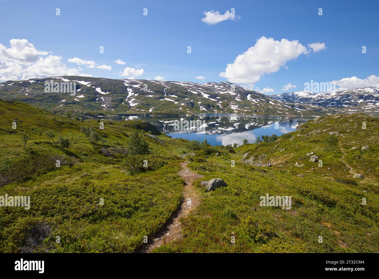 Paesaggio montano vicino all'autostrada europea E134 sul lago Ståvatn in Norvegia. Foto Stock