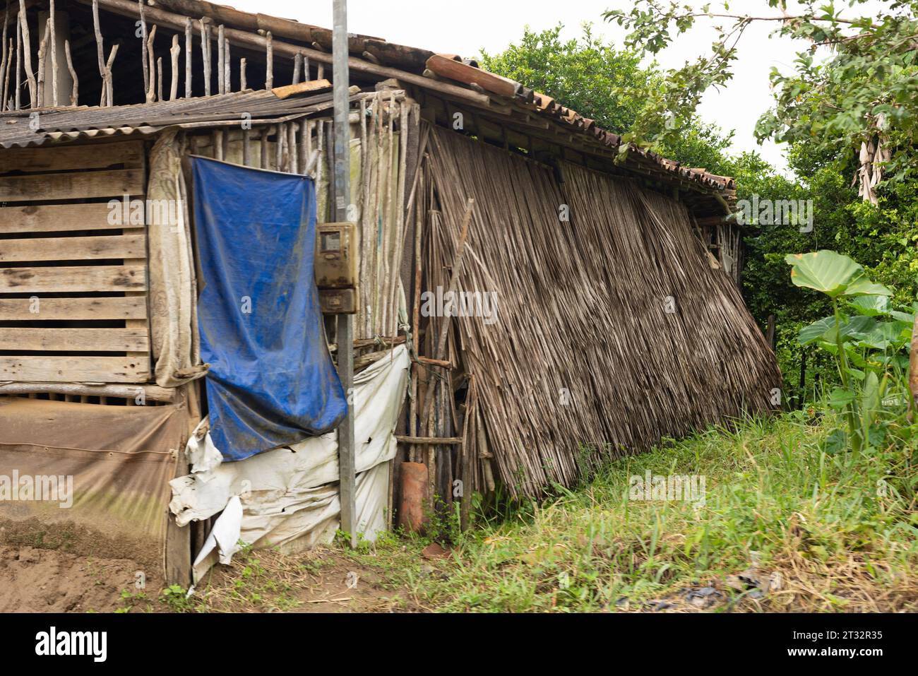 Aratuipe, Bahia, Brasile - 21 giugno 2022: Una casa fatta di pezzi di legno e argilla rossa. Situazione di estrema povertà. Città di Aratuipe, Bahia. Foto Stock