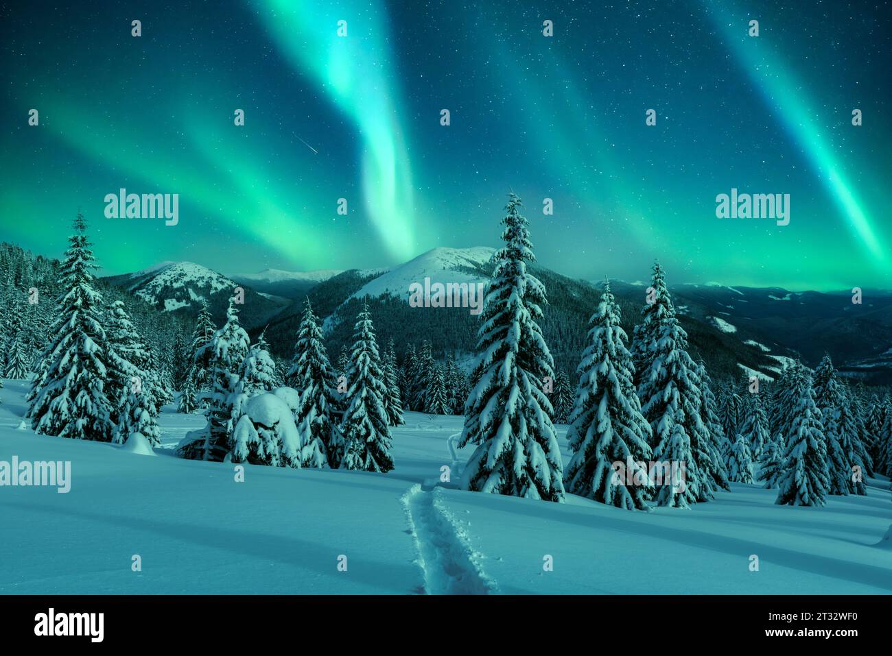 Aurora boreale. Aurora boreale nella foresta invernale. Incredibile paesaggio notturno con conifere piene di neve in una radura di montagna invernale con un sentiero inciso attraverso la neve Foto Stock