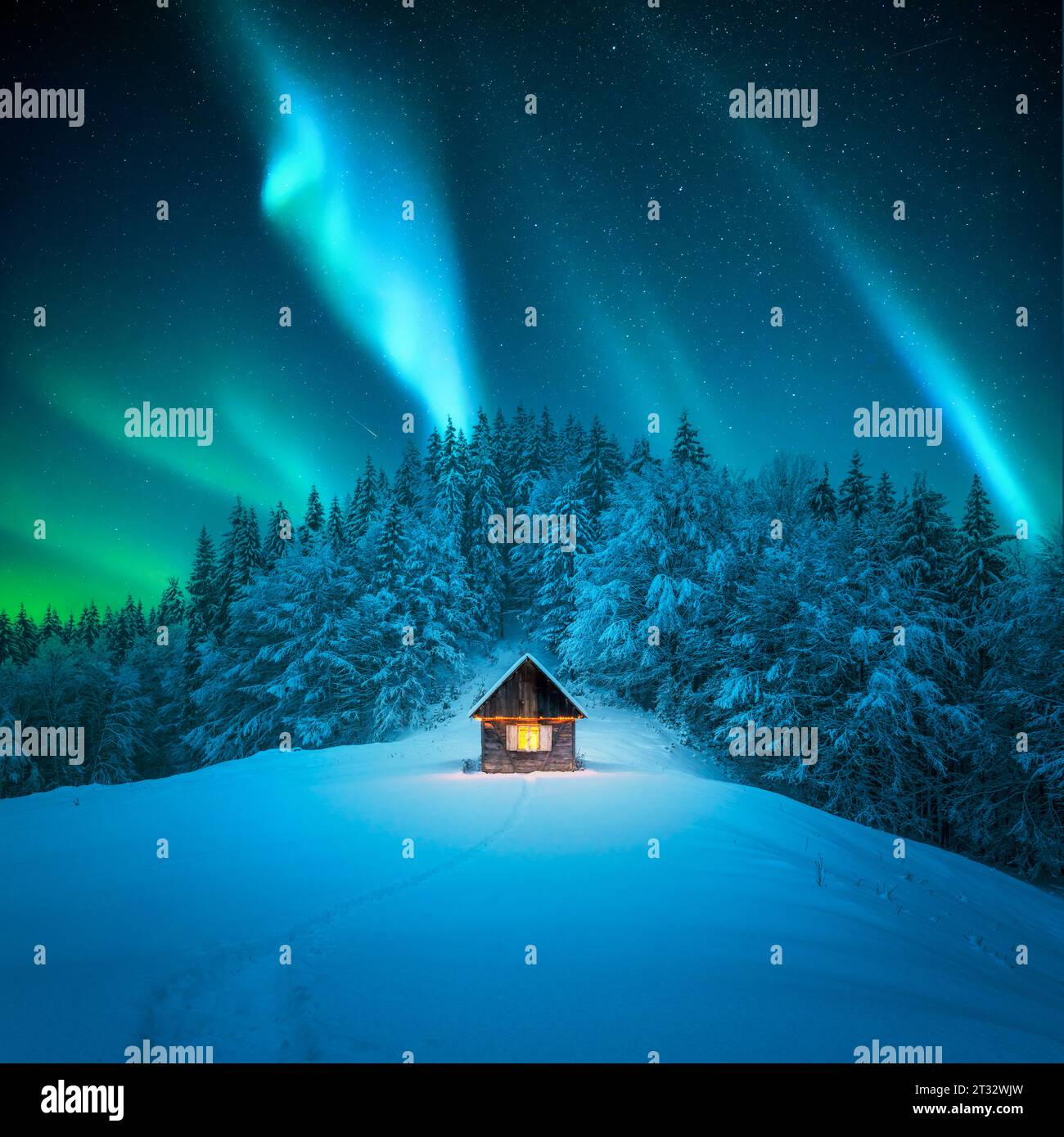 Una scena invernale con una solitaria cabina di legno e abeti innevati. Aurora boreale. Aurora boreale nella foresta invernale. Concetto di vacanze natalizie e vacanze invernali Foto Stock