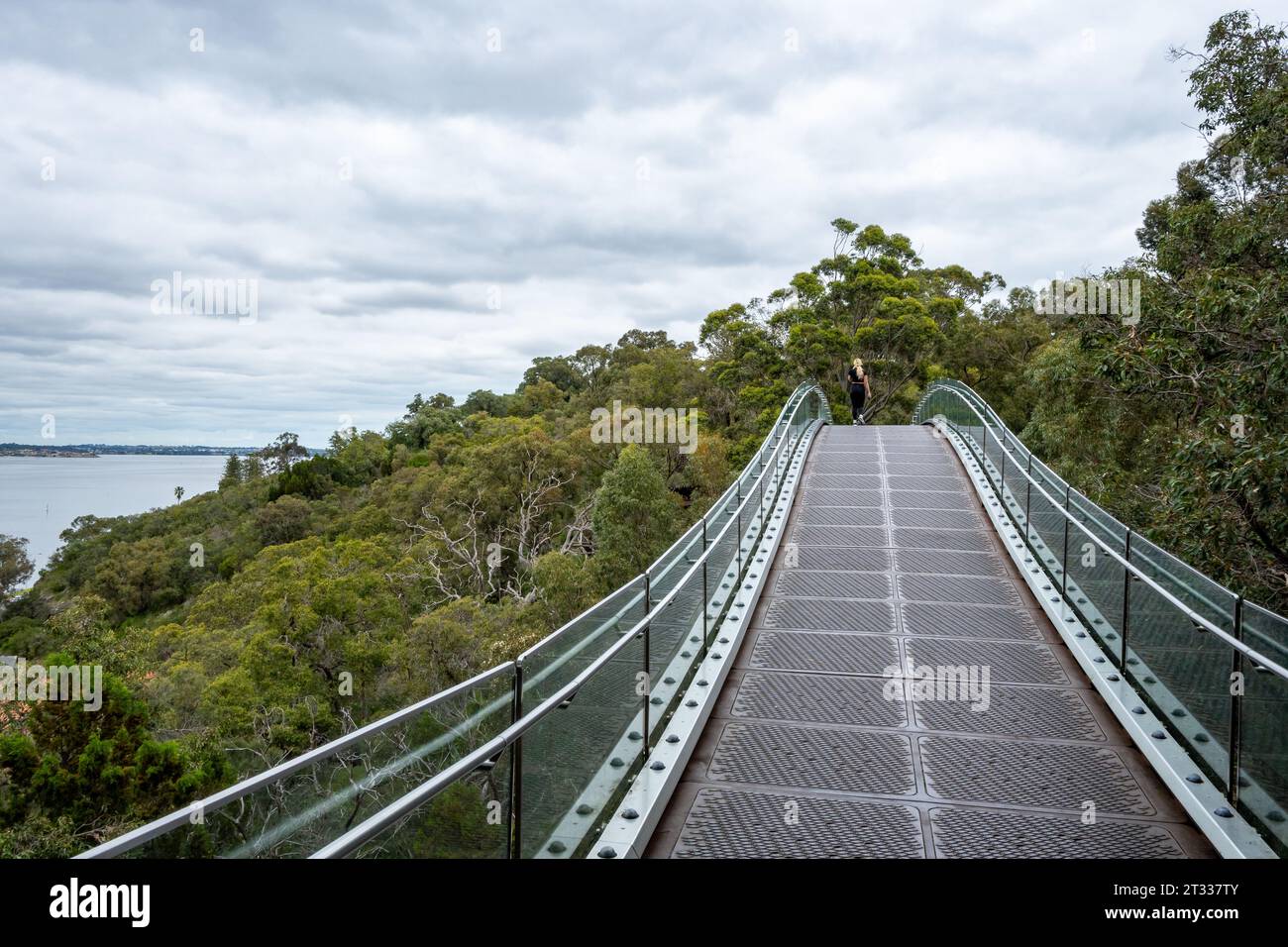 Ponte pedonale al Kings Park, Perth, Australia. Foto Stock