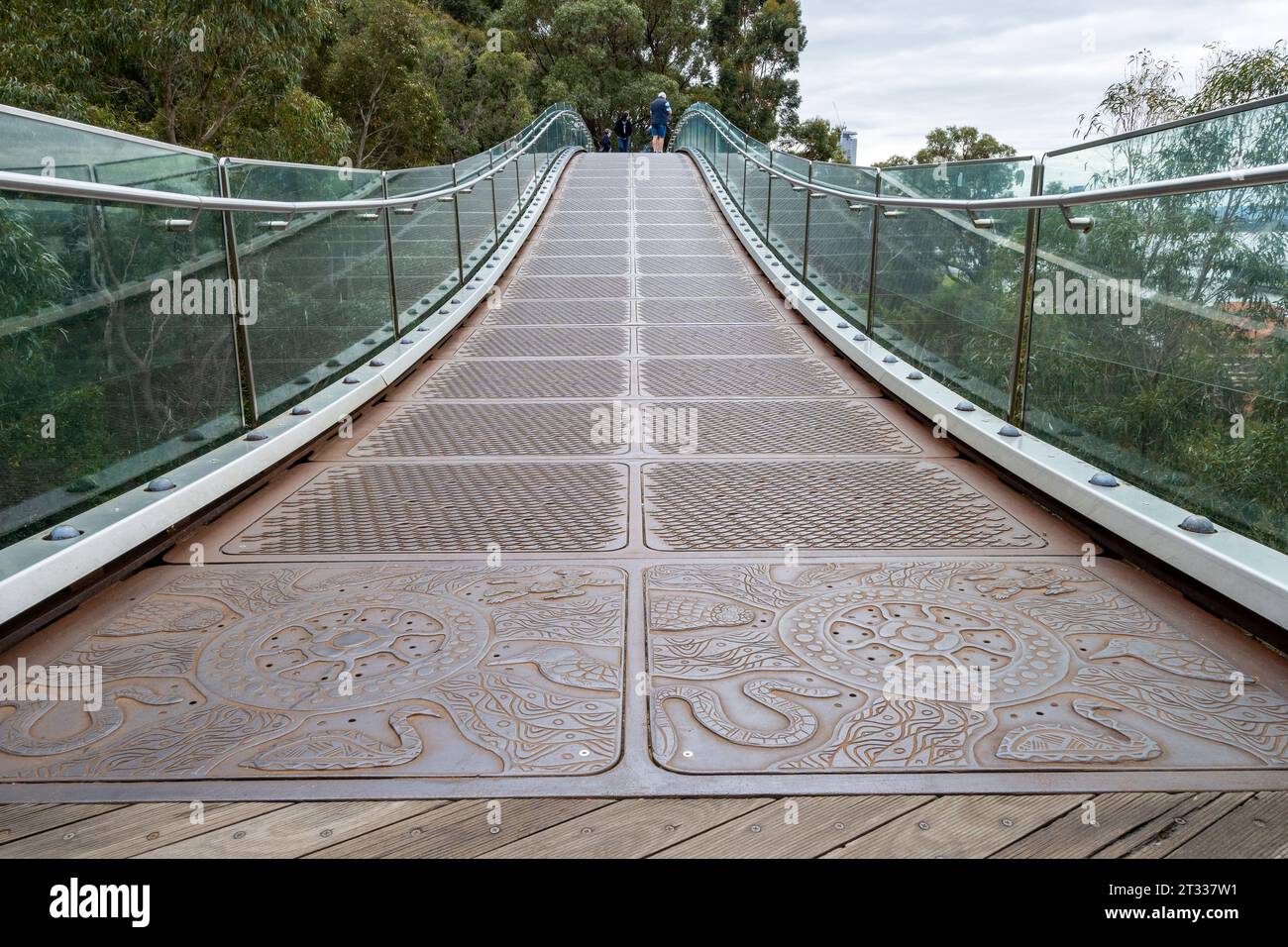 Ponte pedonale al Kings Park, Perth, Australia. Foto Stock