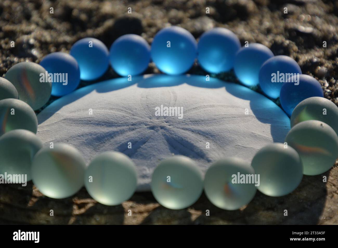 Un'arte originale da me. Dollaro bianco di sabbia con marmo di vetro marino trasparente e blu. Foto Stock