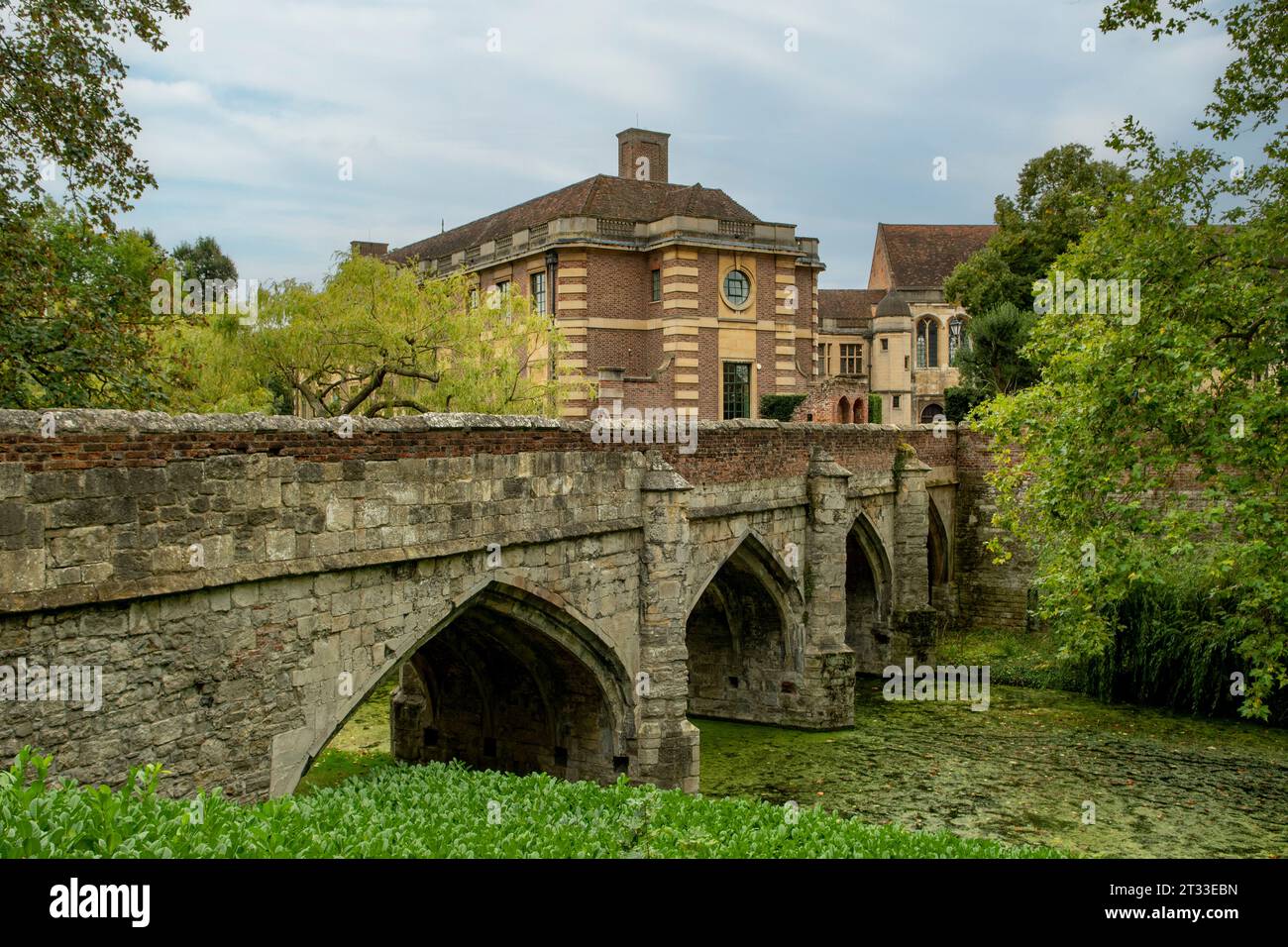 Eltham Palace, Eltham, Greater London, Inghilterra Foto Stock