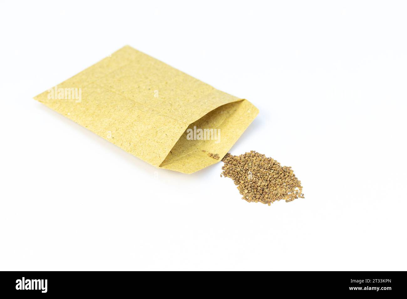 Confezione di semi di sedano isolata su sfondo bianco Foto Stock