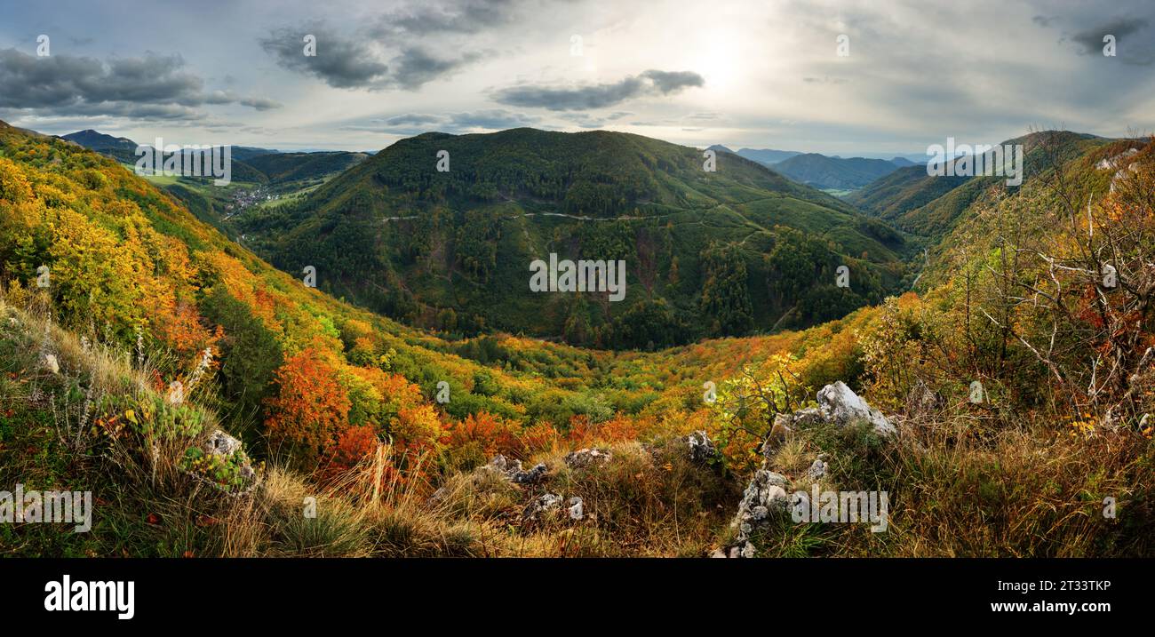 Panorama autunnale della foresta al tramonto con foresta e vallata Foto Stock