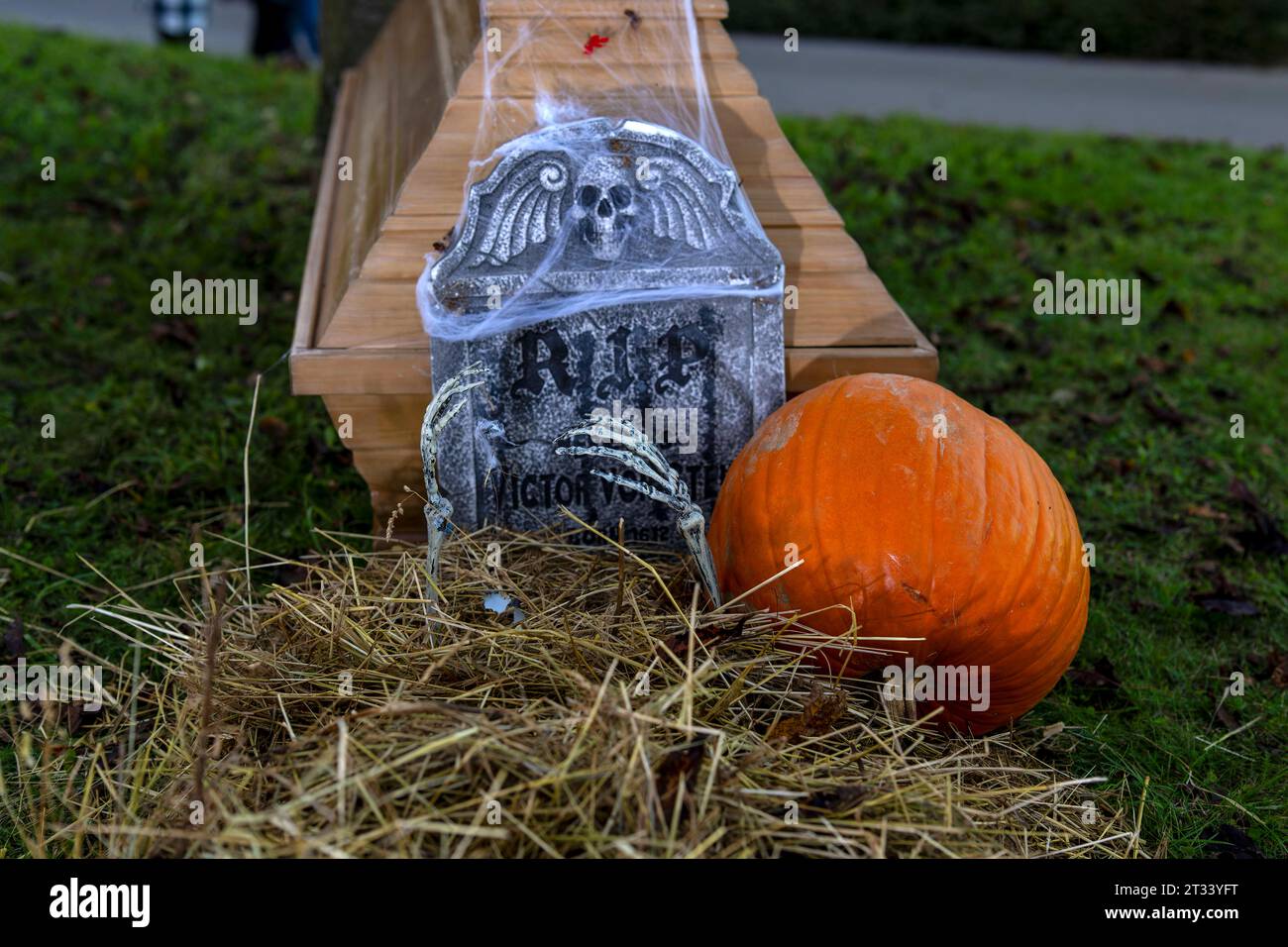 23.10.2023, Volksbrauch Halloween, wird ausgiebig gefeiert hier im Allgäu-Skylinepark Rammingen bei Bad Wörishofen mit den Aktionstagen an zwei Wochenenden. Künstliches Skelett streckt die knochigen Hände aus der Erde neben einem Sarg. 23.10.2023, 23.10.2023, *** 23 10 2023, Halloween tradizionale, viene celebrato ampiamente qui nel Allgäu Skylinepark Rammingen vicino a Bad Wörishofen con i giorni di azione in due fine settimana lo scheletro artificiale allunga le sue mani ossee fuori dal terreno accanto a una bara 23 10 2023, 23 10 2023, credito: Imago/Alamy Live News Foto Stock