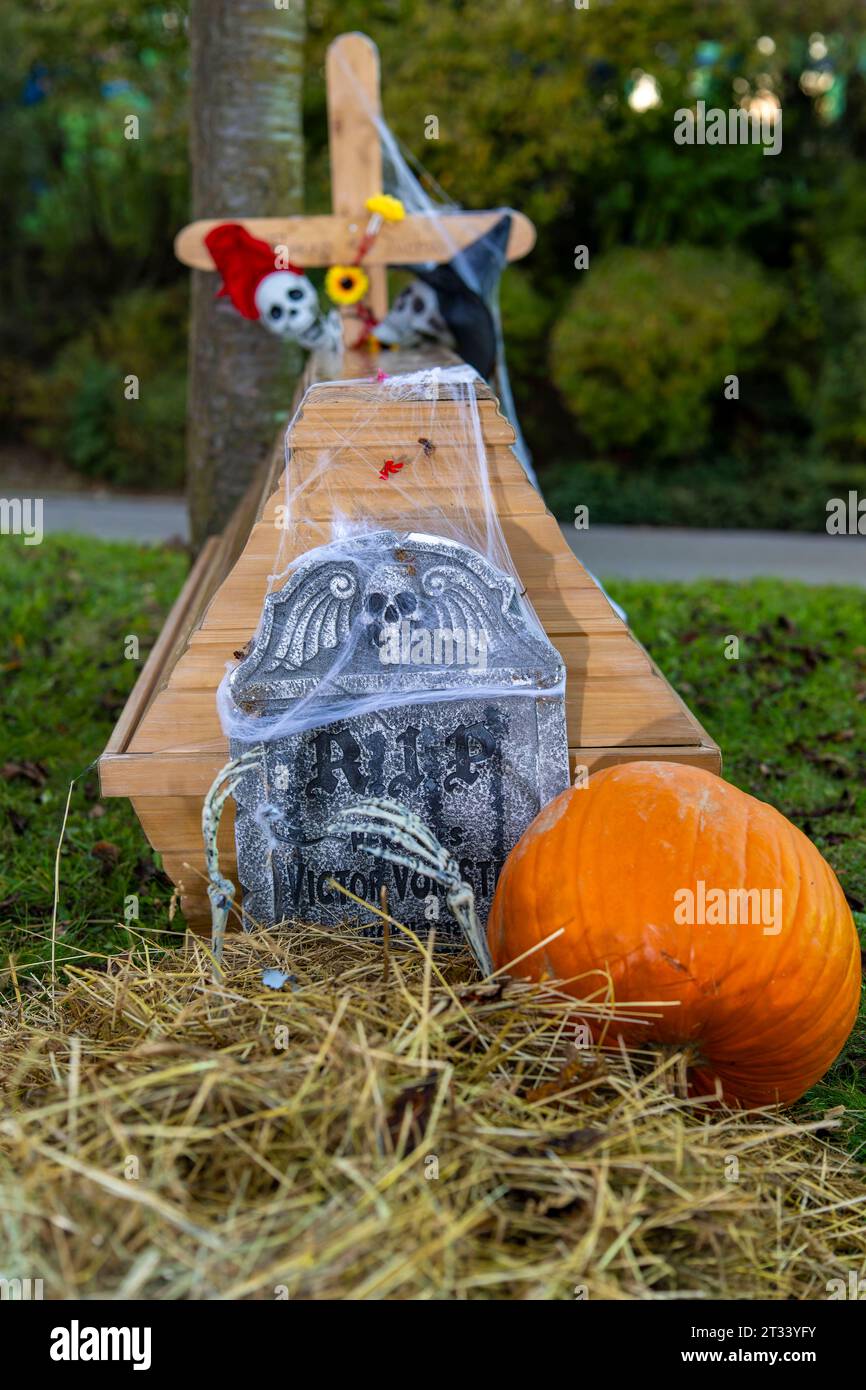 23.10.2023, Volksbrauch Halloween, wird ausgiebig gefeiert hier im Allgäu-Skylinepark Rammingen bei Bad Wörishofen mit den Aktionstagen an zwei Wochenenden. Künstliches Skelett streckt die knochigen Hände aus der Erde neben einem Sarg. 23.10.2023, 23.10.2023, *** 23 10 2023, Halloween tradizionale, viene celebrato ampiamente qui nel Allgäu Skylinepark Rammingen vicino a Bad Wörishofen con i giorni di azione in due fine settimana lo scheletro artificiale allunga le sue mani ossee fuori dal terreno accanto a una bara 23 10 2023, 23 10 2023, credito: Imago/Alamy Live News Foto Stock