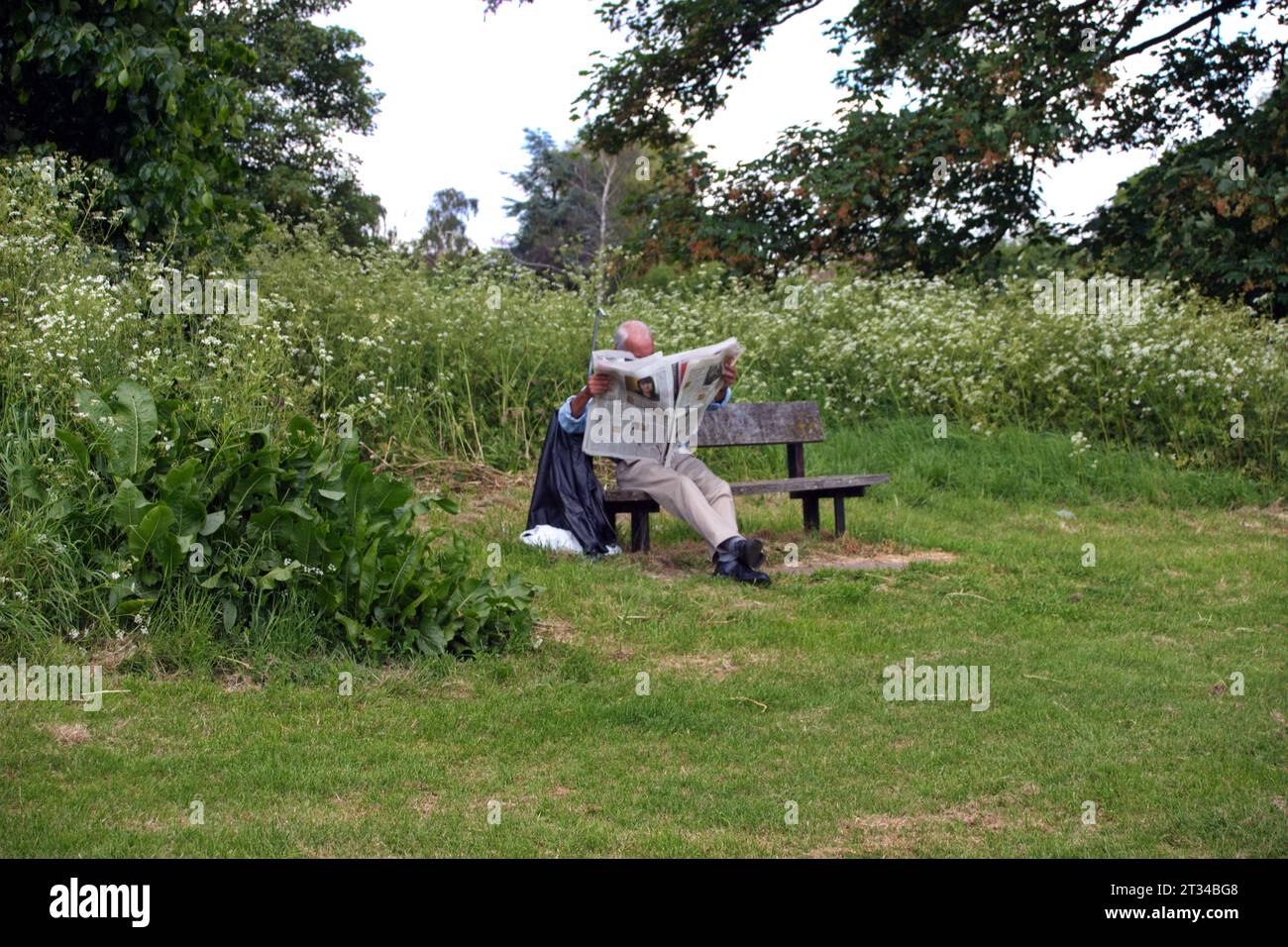 Uomo seduto su una panchina in un parco che legge un giornale. Foto Stock