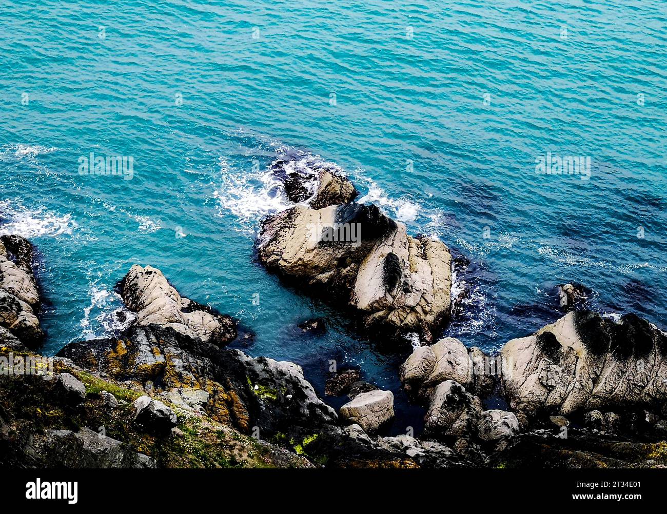 Greystones, Irlanda, maggio 2019 - da Bray a Greystones Cliff Walk. Un sentiero che porta alla cima di Bray Head. Una splendida vista del Mare d'Irlanda. Foto Stock