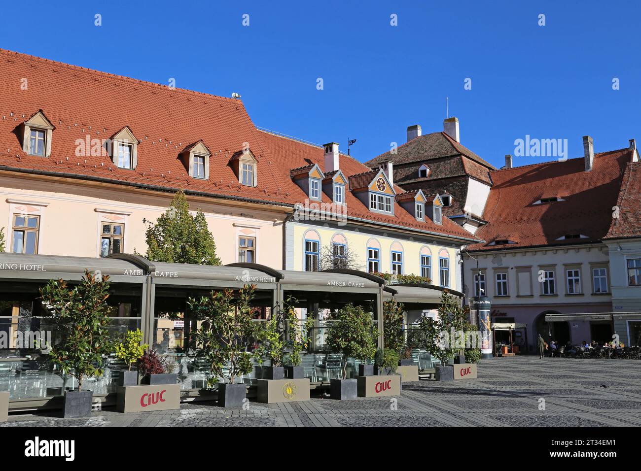 Amber Caffé, Piața Mare (grande piazza), Sibiu, Contea di Sibiu, Transilvania, Romania, Europa Foto Stock