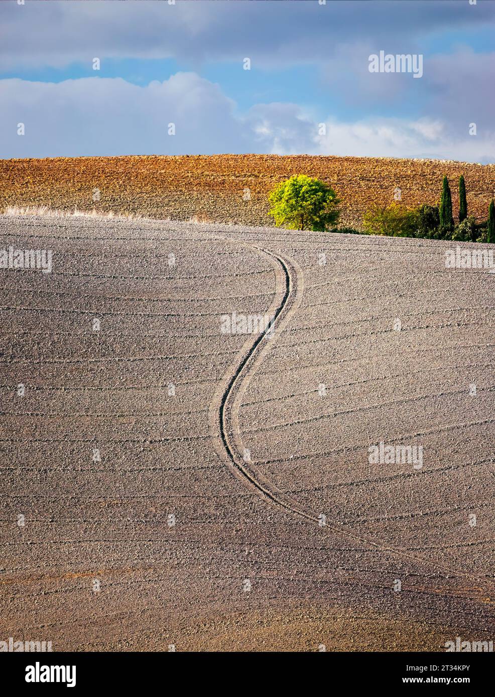 Foto verticale di un campo arato in inverno in Toscana. Foto Stock