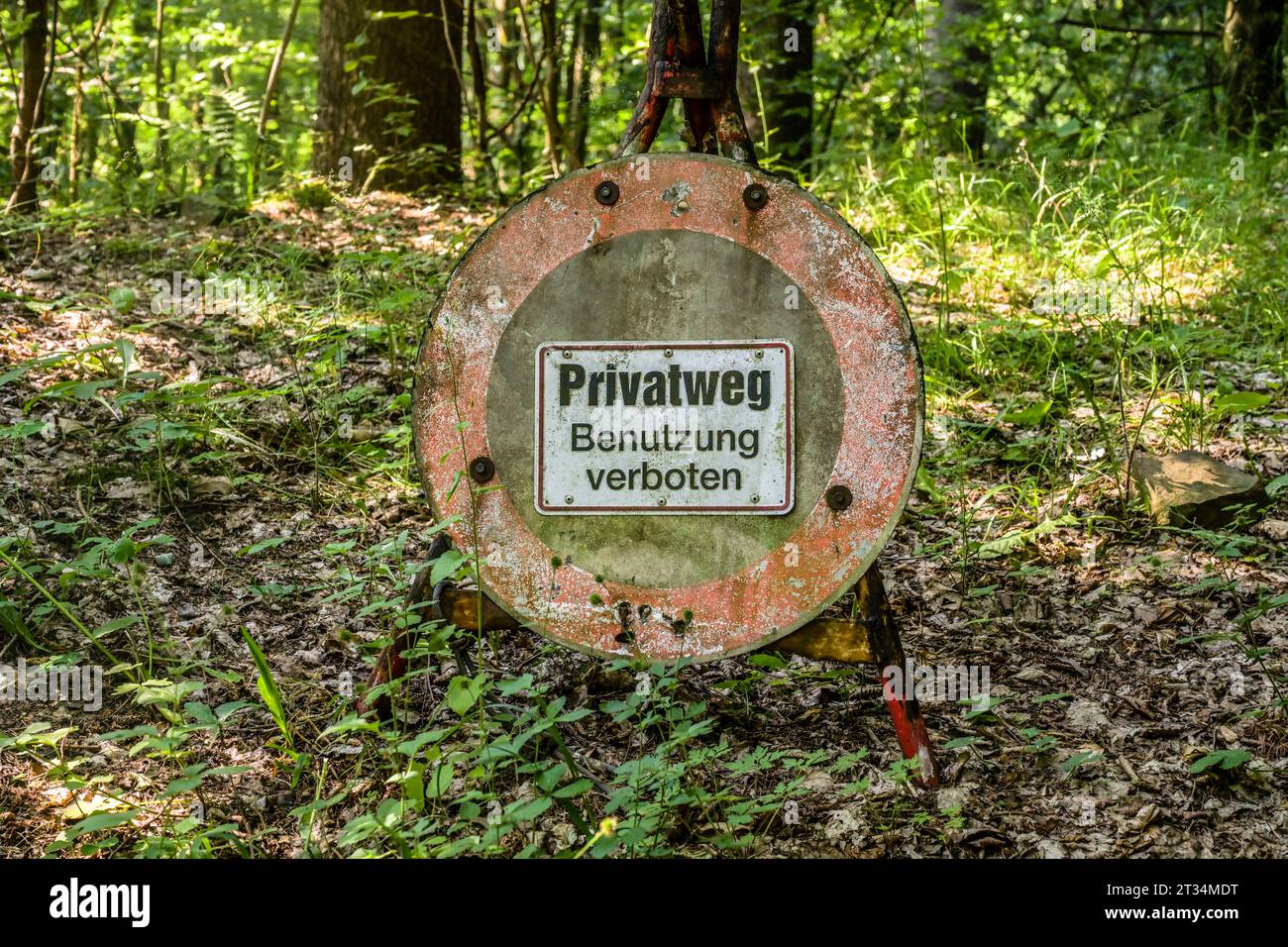 Altes Schild im Wald, Privat, Benutzung verboten, Deutschland Foto Stock