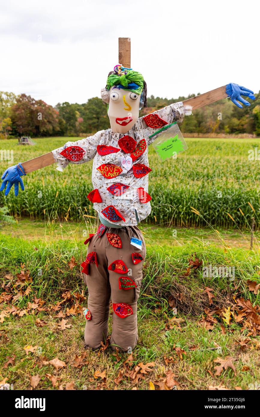 Raccolta fondi del Concorso Spaventapasseri di Cucurbit Farm a beneficio della National Alliance sulle malattie mentali Foto Stock