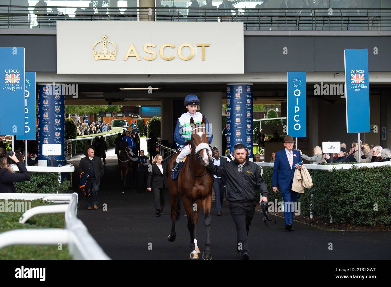 Ascot, Berkshire, Regno Unito. 21 ottobre 2023. Cavallo Coltrane guidato dal fantino Oisin Murphy si dirige in pista prima di gareggiare nella QIPCO British Champions Long Distance Cup al QIPCO British Champions Day. Il proprietario Mick e Jancie Mariscotti. Allenatore Andrew Balding, Kingsclere. Breeder Rockfield Farm. Sponsor, Kingsclere Stud Credito: Maureen McLean/Alamy Foto Stock