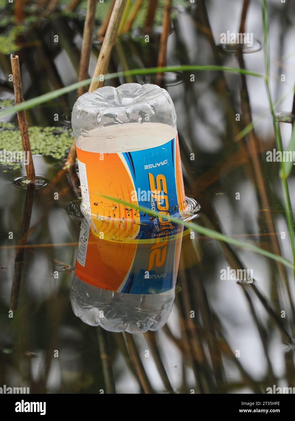 C'è un cestino dietro la pelle, ma gli individui preferiscono gettare i rifiuti nel lago!!! Foto Stock