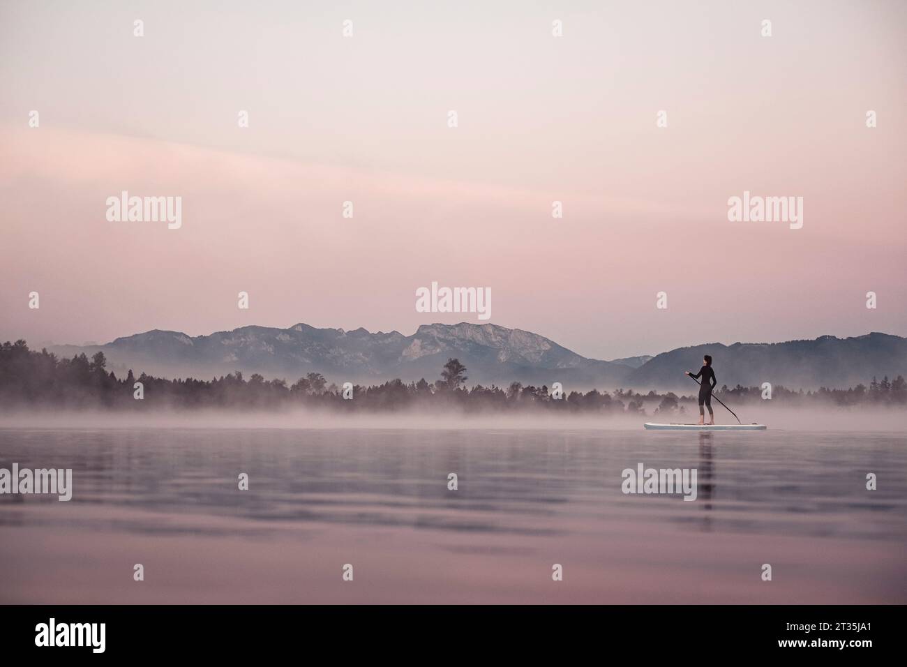 Donna stand up paddling sul lago Kirchsee presso il Morning mist, Bad Toelz, Baviera, Germania Foto Stock