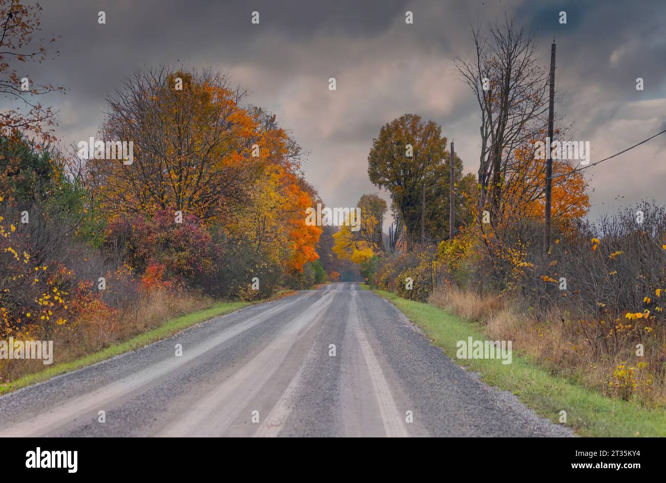 Foglie colorate in autunno lungo una strada di campagna vicino a Renfrew, Ontario, Canada Foto Stock