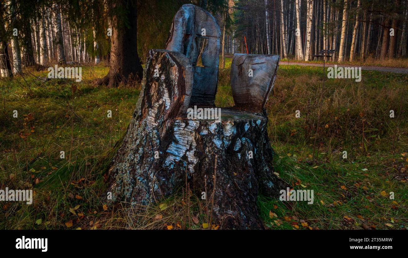 Magico trono di legno nella foresta Foto Stock