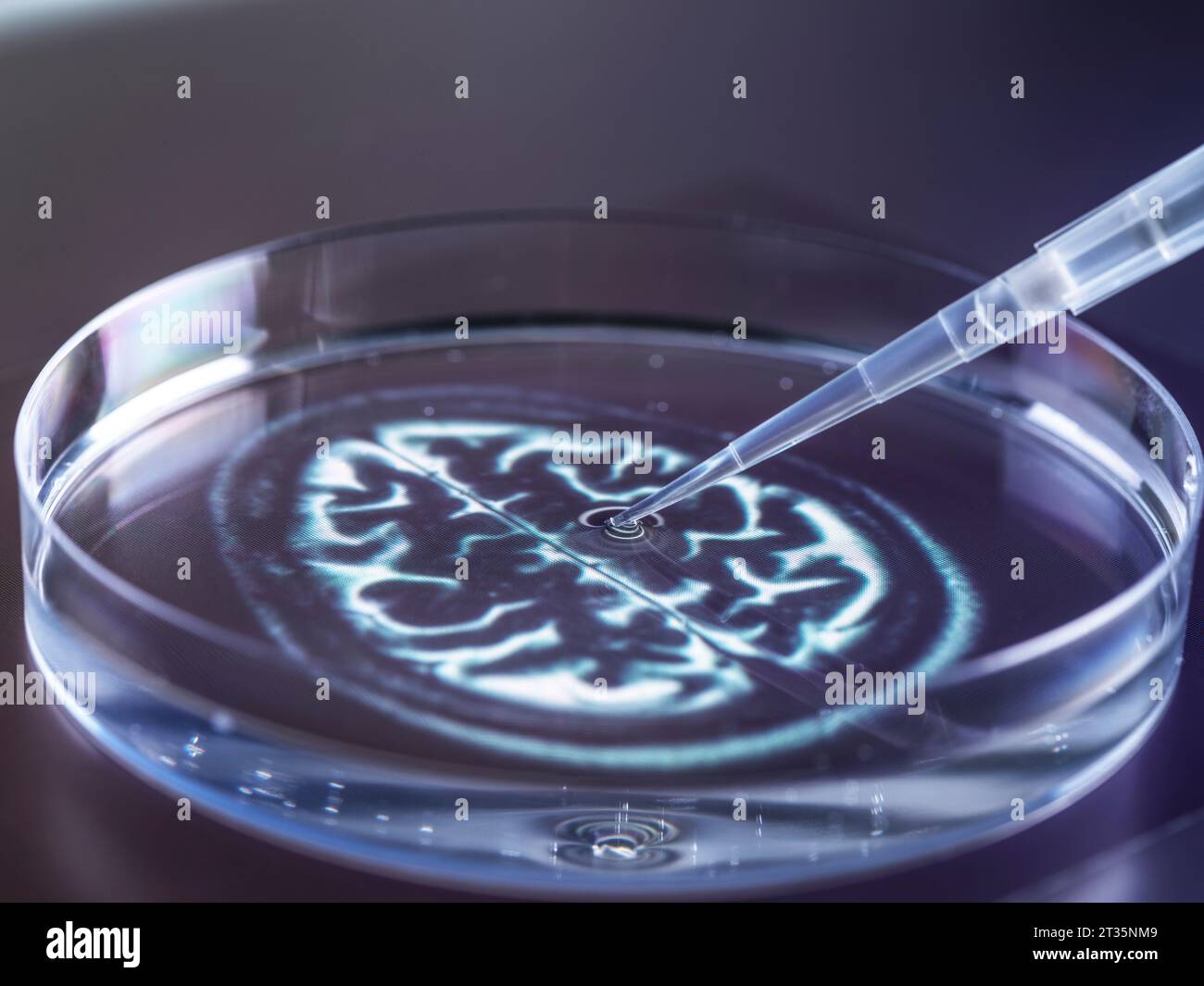 Analisi del DNA in laboratorio Foto Stock