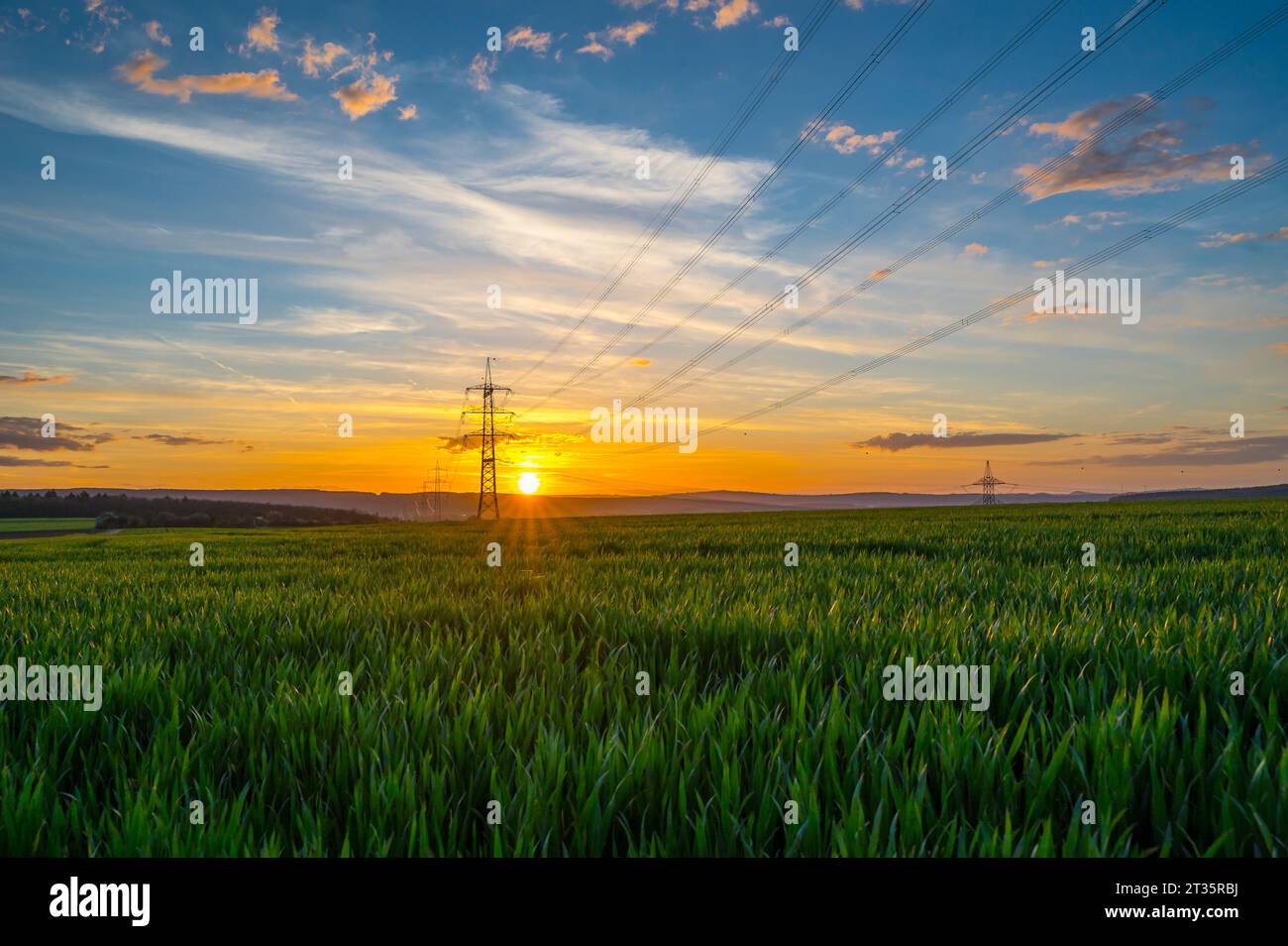 Germania, Assia, Hunfelden, traliccio elettrico nel vasto campo verde al tramonto estivo Foto Stock