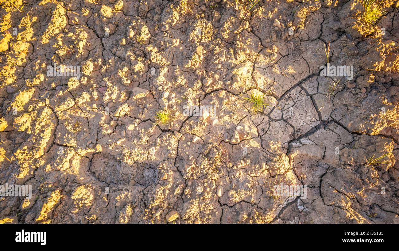 Scarpa stampata in terra asciutta e fessurata Foto Stock
