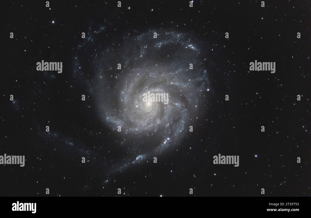 Pinwheel Galaxy nella costellazione di Ursa Major Foto Stock