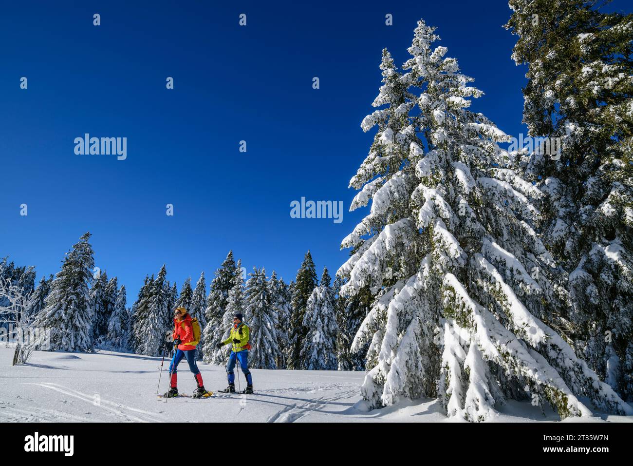 Coppie che sciano su una montagna innevata Foto Stock