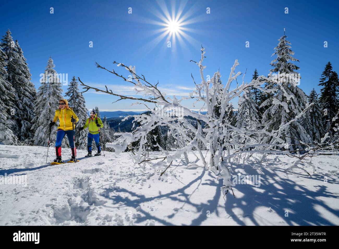 Coppia che sciano insieme nella giornata di sole Foto Stock