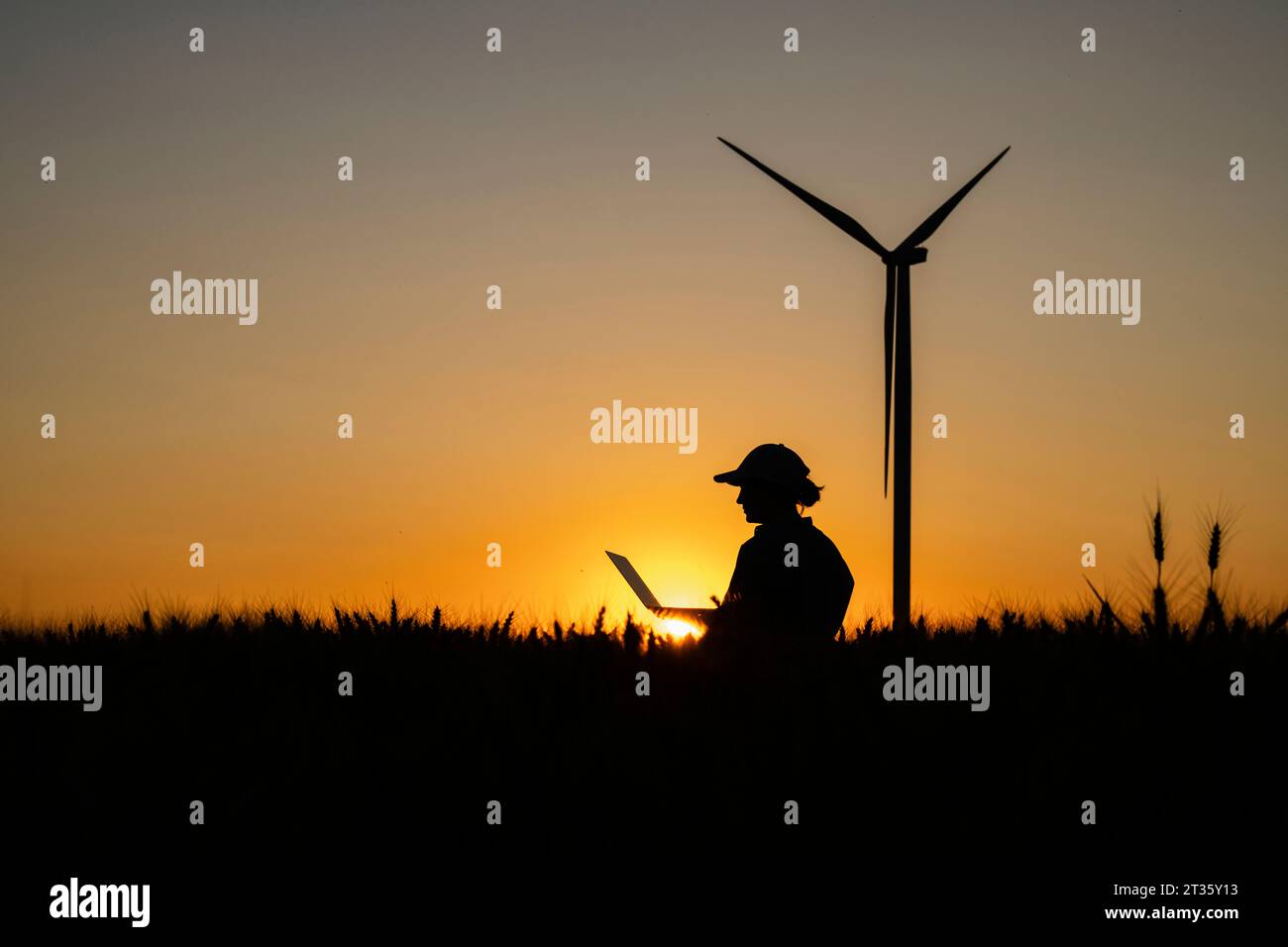 Sagoma dell'agricoltore che utilizza un computer portatile sul campo con turbina eolica al crepuscolo Foto Stock Sagoma dell'agricoltore che utilizza un computer portatile sul campo con turbina eolica al crepuscolo Foto Stock