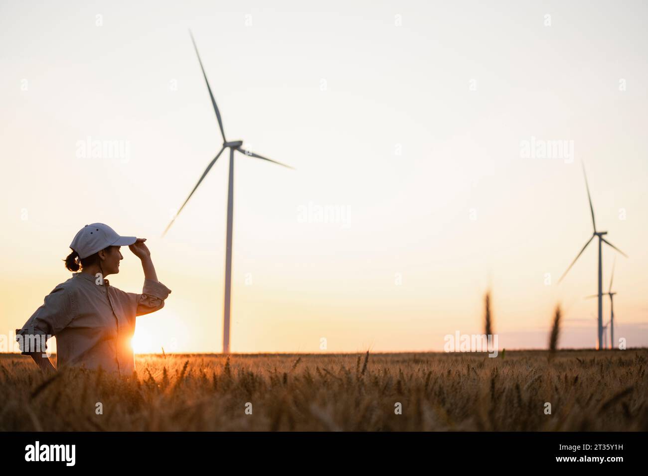 Agricoltore che guarda le turbine eoliche in giacimento di grano Foto Stock Agricoltore che guarda le turbine eoliche in giacimento di grano Foto Stock