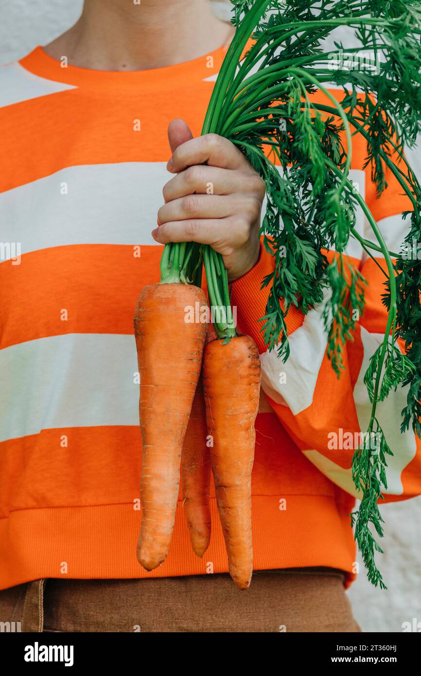 Donna che tiene un mucchio di carote arancioni davanti al muro Foto Stock