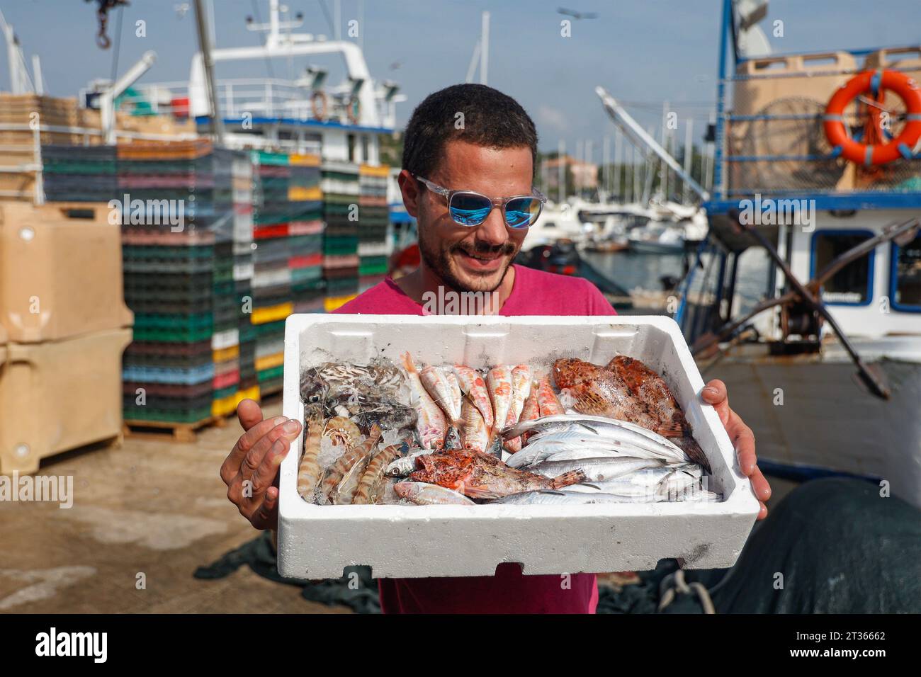Uomo che presenta una scatola piena di pesce fresco nel porto di Vrsar, Istria, Croazia Foto Stock