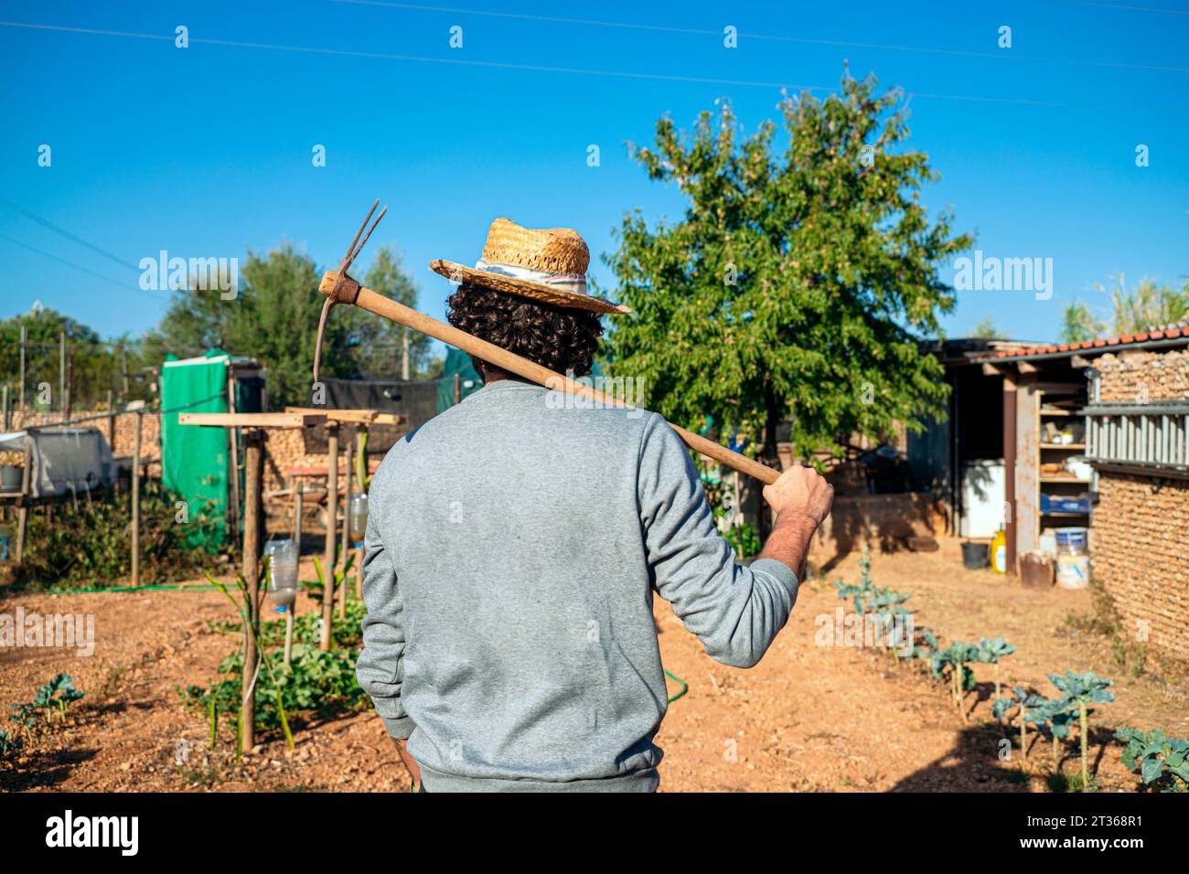 Coltivatore maschio scavando suolo con zappa da giardino a campo agricolo  Foto stock - Alamy