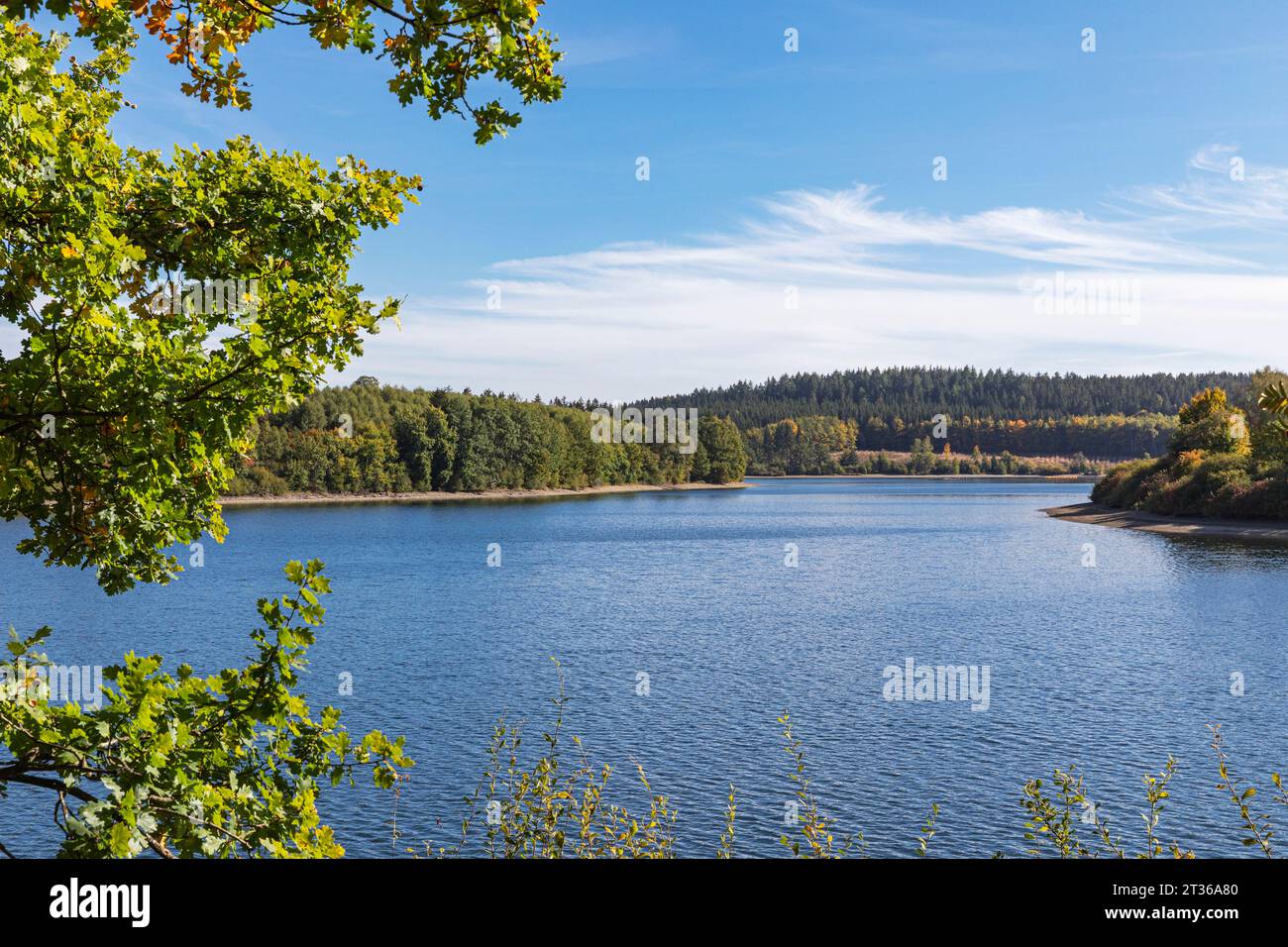 Belgio, provincia di Liegi, vista sul lago Butgenbach e la foresta circostante Foto Stock